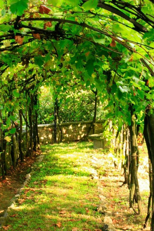 Villa Storica Di Majano Bagno a Ripoli Екстериор снимка